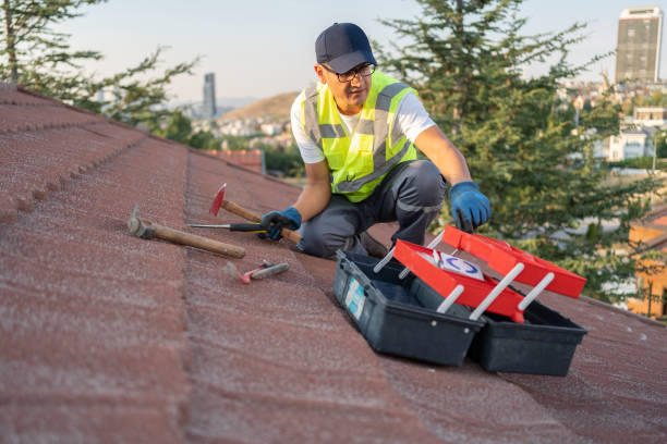 Best Property Management Cleanouts  in Colony Rk, PA